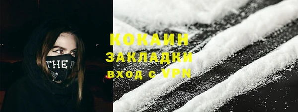 хмурый Верея