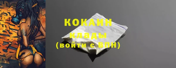 хмурый Верея