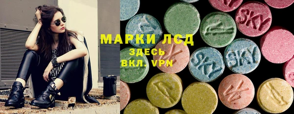 хмурый Верея