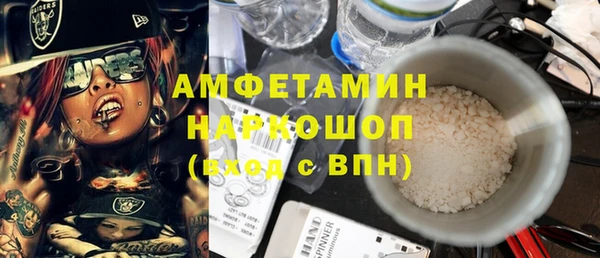 хмурый Верея