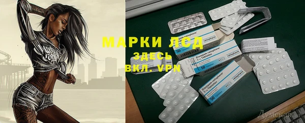 spice Бородино