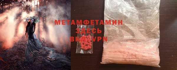 хмурый Верея