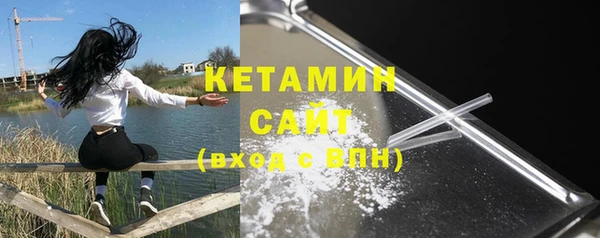 хмурый Верея